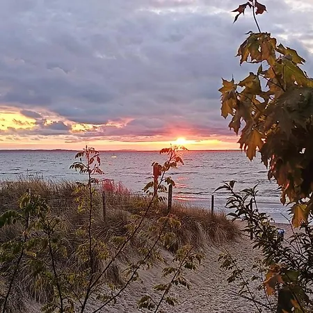 Balticus - Moze Nad Morze Miedzyzdroje
